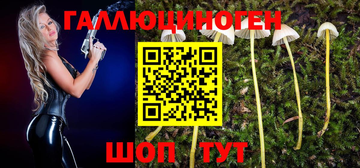 Галлюциногенные грибы Magic Shrooms Дзержинск