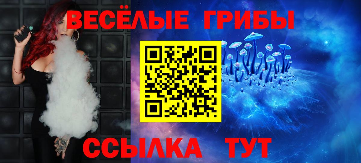 Дзержинск  Галлюциногенные грибы мицелий  Вход с VPN 